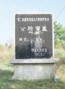 汉武帝朝背景最强的大臣，公孙贺结局如何？