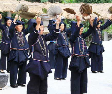 百越族与炎黄子孙:血脉与文化的千年交响