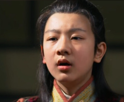 嬴芾:战国风云中的泾阳君,秦昭襄王的胞弟传奇